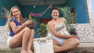 Las plantas salvadoreñas 😁 
