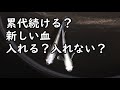 【メダカ飼育】累代維持、他の血を入れることの是非について
