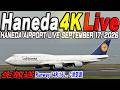 🔵羽田空港 ライブカメラ Haneda Airport Live September 17, 2026   生中継 2026年9月17日 羽田空港ライブのサムネイル