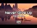 No copyright | Steve Hartz - Never Give Up | KingMusic Official