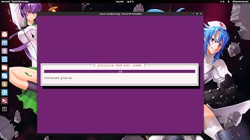 Tutorial how to install ubuntu 13.04 on software raid [HD]