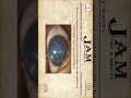 Did you know mumps endothelialitis heals without corneal neovascularization