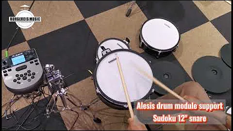 Alesis drum module support Sudoku 12" electronic snare