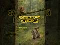 БЕЛКА ТРОЛЛИТ ЁЖИКА - #мем #анекдоты #hailuoai #minimax #hailuo02 #анекдоты #нейросеть #юмор