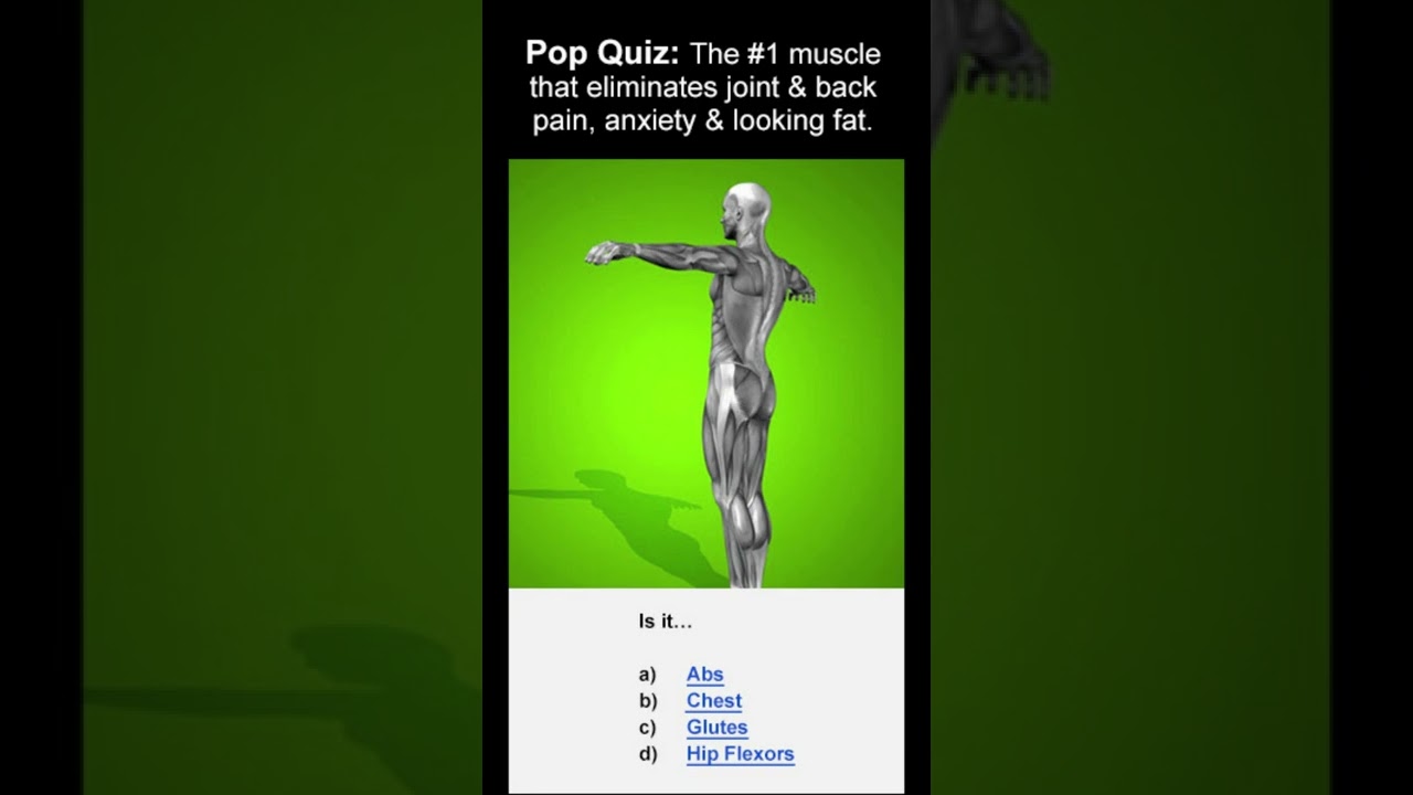 Unlock Your Hip Flexors | Back Pain | Hip Pain | Leg Pain | Digestion | Sleeping Problems