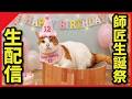 【㊗️】師匠12歳生誕祭&つくし全快お祝いしましょう！【生配信】