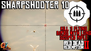 Sharpshooter 10 [Challenge] - Red Dead Redemption 2