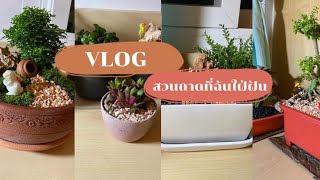 VLOG วิธีการทำสวนถาด | ตอนที่ 2 | สวนถาดที่ฉันใฝ่ฝันในวันที่ฉันเหงา(หรอ)