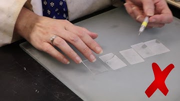 Thin Sections: Labeling Frosted Slides