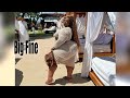Cathia Eugene✅ The Big Fine Beauty Taking Over Plus Size Fashion Modeling: Biography Lifestyle Wiki