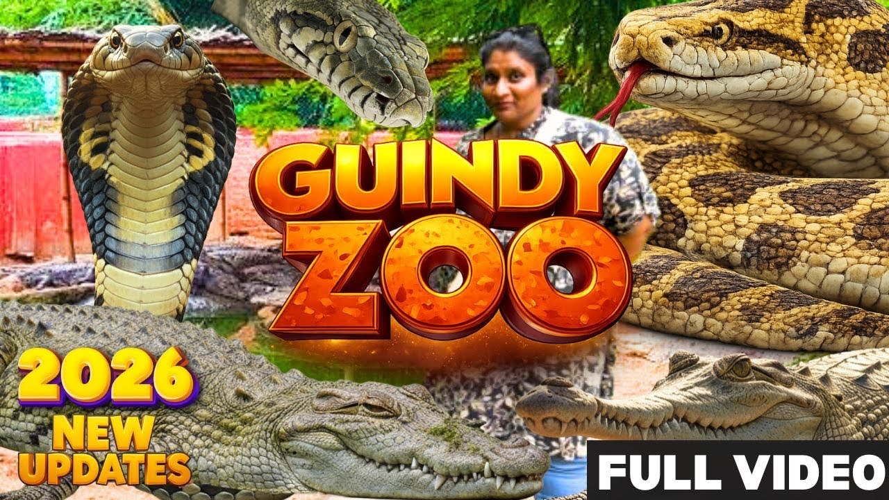 GUINDY SNAKE PARK | GUINDY NATIONAL PARK | Guindy Children‘s Park | Chennai Zoo Latest Updates 2026