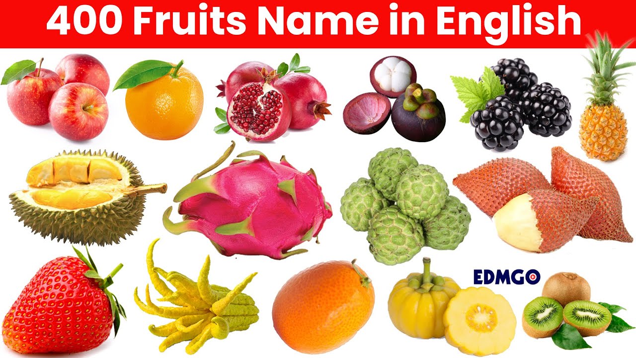 400 FRUITS NAME IN ENGLISH  THE ENCYCLOPEDIA OF FRUITS