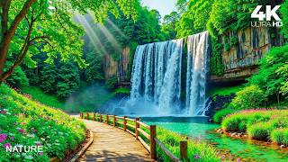 Soothing Relaxing Music 🌿Stop Overthinking, Deep Stress Relief and Peaceful Sleep screenshot 1