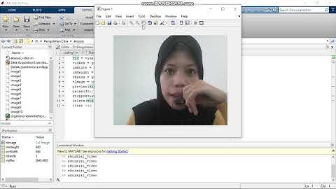 program Akuisisi citra