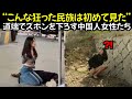 道端でズボンを下ろす中国人女性たち