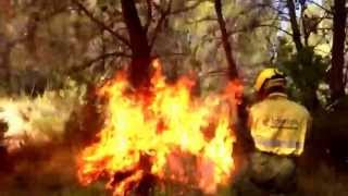 Reproduccion Incendio de Ayora