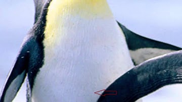 How to remove Recycle Bin icon from Desktop in Windows 7