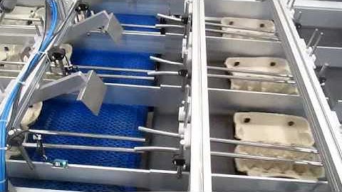 How does full automatic egg box, egg carton,egg tray, pulp molding machine work--BST
