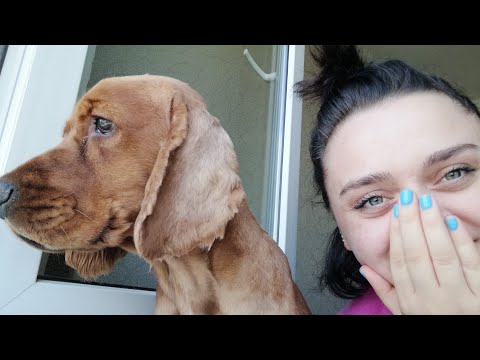 Vlog | გასწავლით იტალიურ ენას | გიყვებით ჩემს გეგმებზე | Keta Barnova