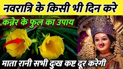 7 अक्तूबर सोमवार नवरात्रि पंचमी को 5 कनेर फूल वाला उपाय जरूर करें || Pradeep Ji Mishra