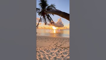 القرآن الكريم بصوت ياسر الدوسري #سورة_البقرة #القرآن_الكريم