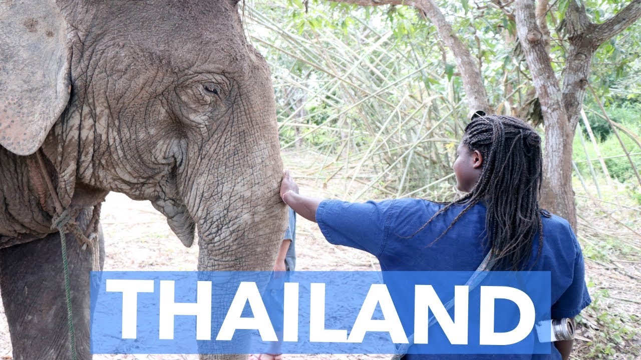 HOW To Spend 2 Weeks In THAILAND YouTube how-to-spend-2-weeks-in-thailand-youtube