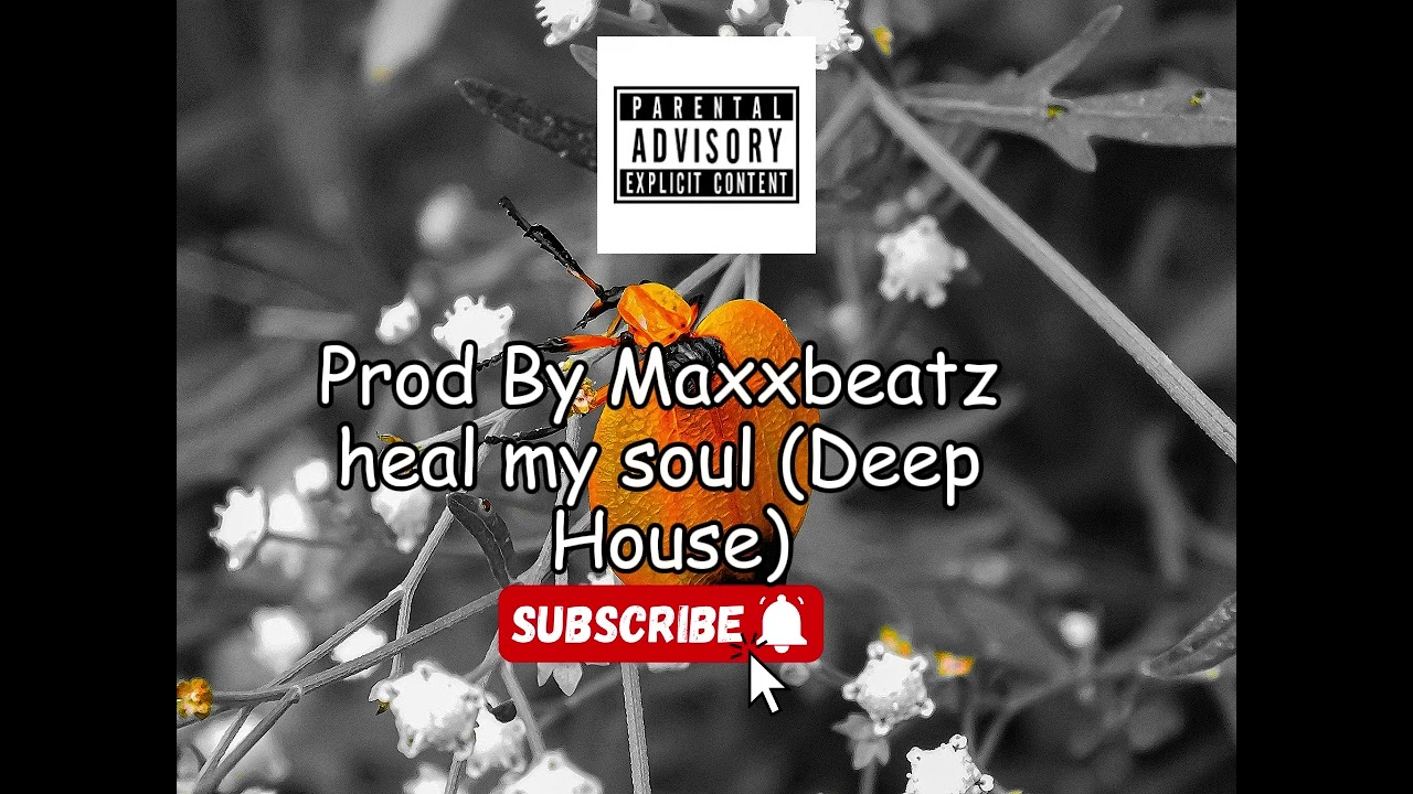 Heal my soul prod by maxxbeatz (deep house)