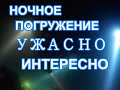 НОЧНОЕ ПОГРУЖЕНИЕ В ОРДЖОНИКИДЗЕ. ДАЙВИНГ В КРЫМУ