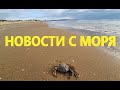 Анапа Сегодня. НОВОСТИ С МОРЯ! ТОЛПЫ РЫБАКОВ