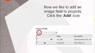 webTareas HowTo - Custom Fields Tutorial (VII)