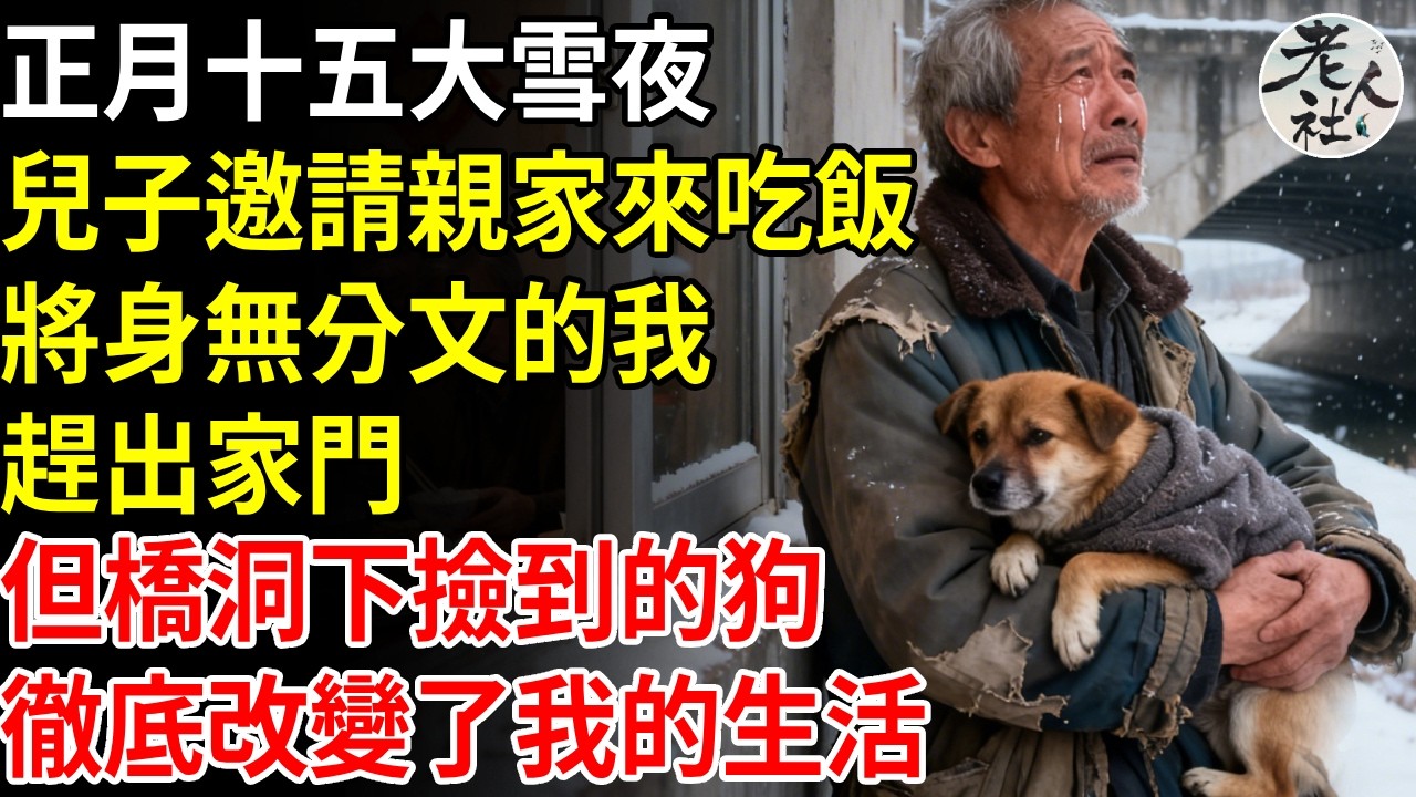 正月十五大雪夜，兒子邀請親家來吃飯，將身無分文的我，趕出家門，但橋洞下撿到的狗，徹底改變了我的生活#退休金#不肖子孫#老年生活#老人社