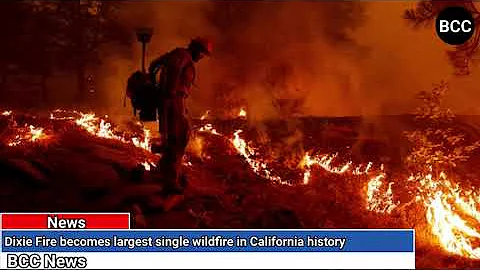 Dixie Fire becomes largest single wildfire in California history