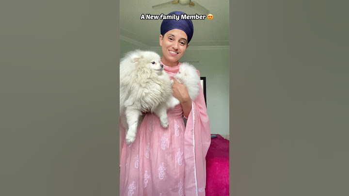 Meet Our New Family Member 🐶 | Most Special Day Ever 😍 #minivlog #shorts