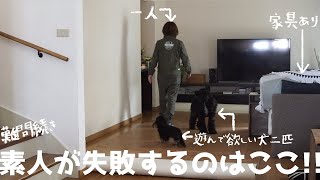 住みながらクッションフロアー貼りDIY by こーる君ち 54,789 views 3 years ago 15 minutes