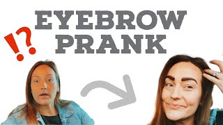 Husband REACTS to my EYEBROWS *PRANK* by Wilks Fam 28 views 2 years ago 6 minutes, 35 seconds