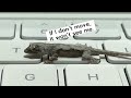 Baby GECKO fell from ceiling! #funny