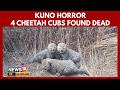 Kuno National Park | Four Cheetah Cubs Found Dead, Predator Attack Suspected | Madhya Pradesh | 4K