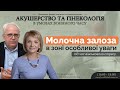 Молочна залоза в зоні особливої уваги під час військового стресу