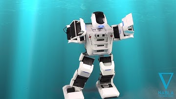 Eolo Maestro di Coding