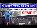 SUKSES TERNAK KELINCI DILAHAN YANG SANGAT SEMPIT