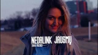 Tavo Muzika - Nedalink Jausmų (Naujiena 2025)