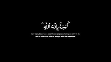 (وقال الذين يظنون أنهم ملقوا الله )| مشاري البغلي | سورة البقرة | #كرومات #krumat #quran #reels