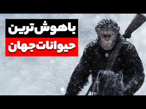 تصویری: تله پورت - واقعیت: فراتر از داستان های علمی تخیلی