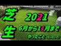 【芝生】6月に芝生をはってから11月までをまとめてみました。