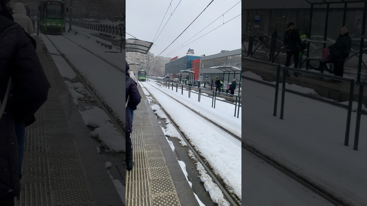 Winter in bucharest Romania 🌏🤎 