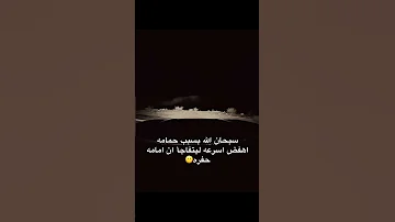 سبحان الله بسبب حمامه اهفض اسرعه ليتفاجأ ان امامه حفره 