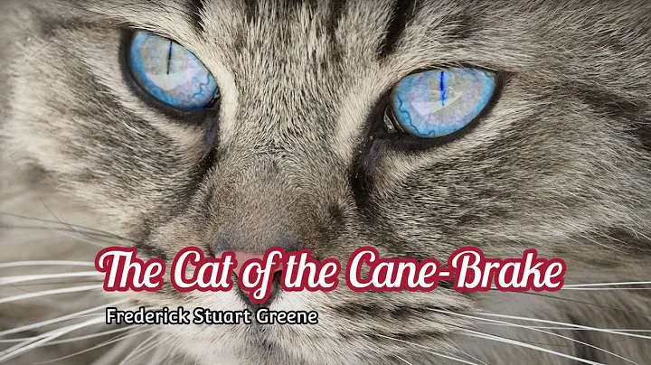 The Cat of the Cane-Brake - Frederick Stuart Greene