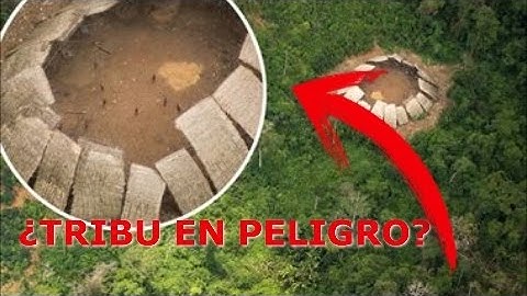 La tribu aislada en el Amazonas hizo contacto