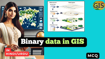 Binary data in GIS | GIS Binary data in HINDI URDU #GIS