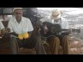 Cuban Music in the streets